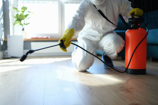 Reliable Odor Removal contractor in North Richland Hills, TX by Dulley Family Biohazard Services